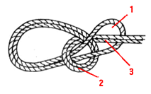 double_bowline.png